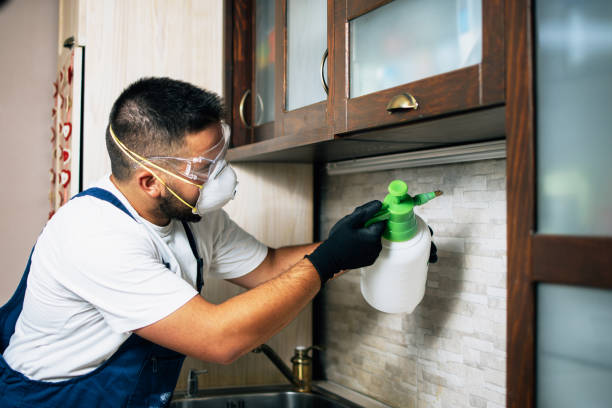 Pest Control Cost in South Dennis, NJ